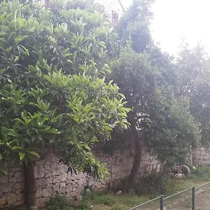 Kala Apartamento